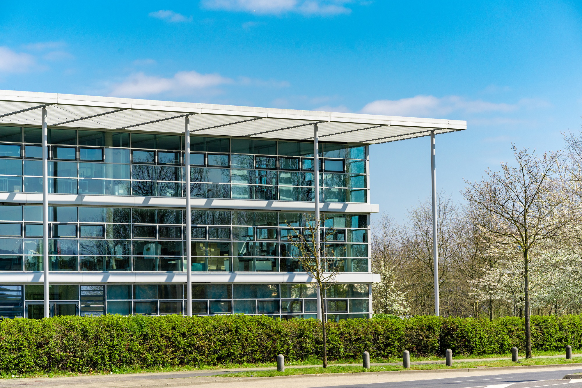 glass office building. green city.